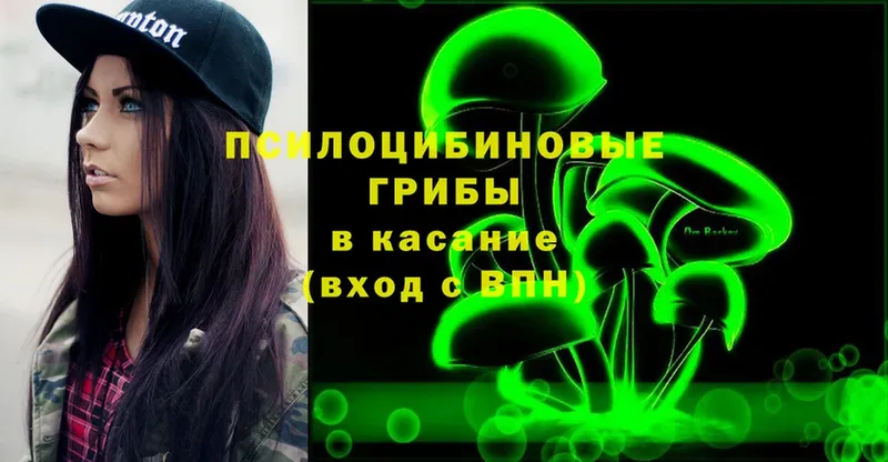 KRAKEN tor  Правдинск  маркетплейс официальный сайт  Псилоцибиновые грибы MAGIC MUSHROOMS 